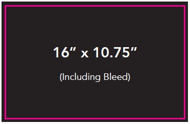 Pop Insider Specs - The Pop Insider