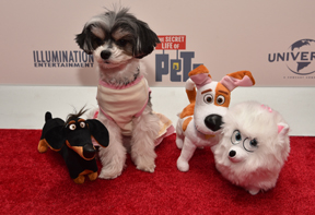 The Secret Life Of Pets Toy Line Reveal At Toy Fair