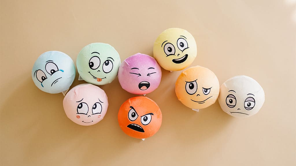 From Start-Up to Standout: Solobo Toys