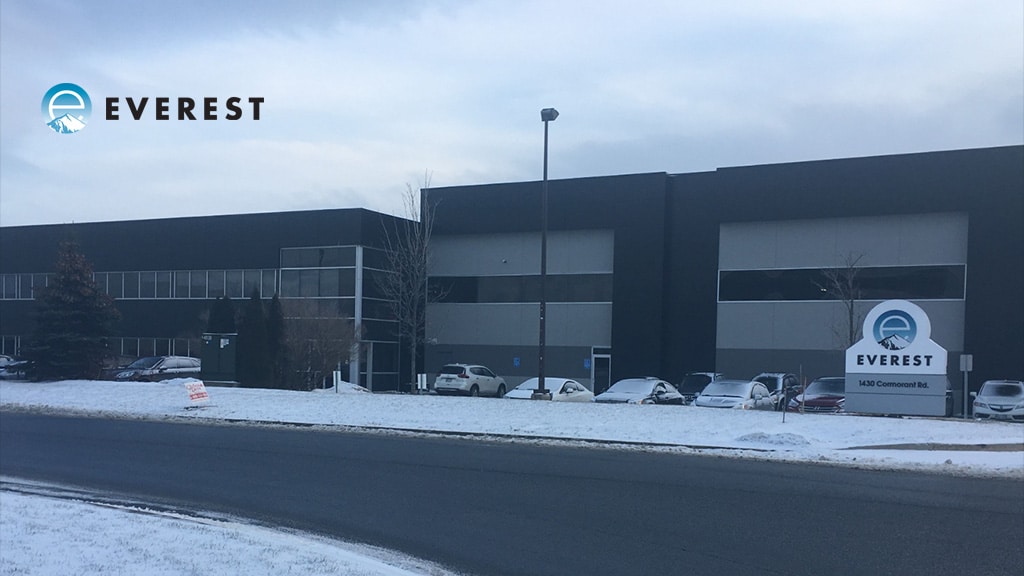 Everest Toys Faces Uncertain Future