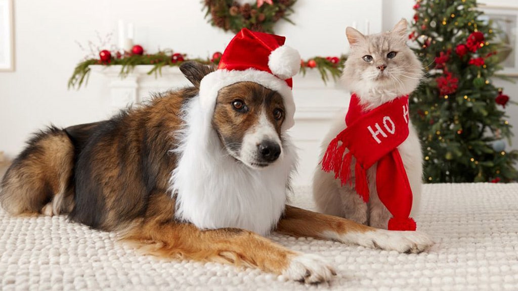 Charity Navigator, Jazwares Cares, and Feed the Children Team Up to Deliver 25,000 Toys This Holiday