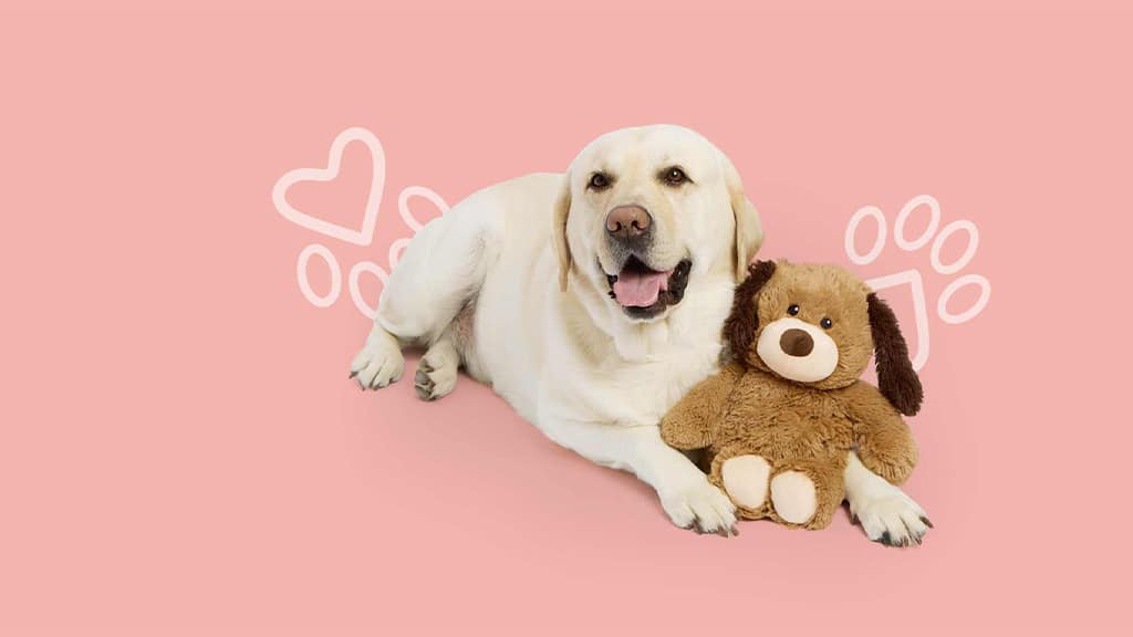 Warmies Expands with Pet-Friendly Collection - The Toy Book