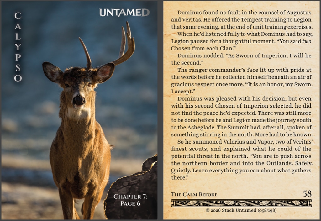 A Stack Untamed Story Card | Source: Stack